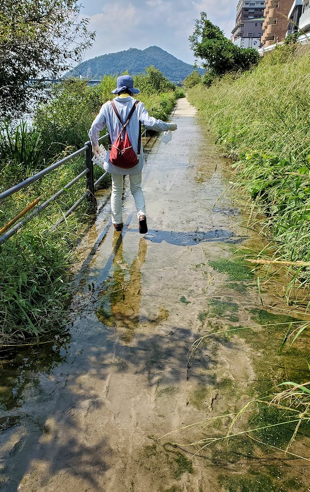 木曽川河畔遊歩道　水溜り箇所
