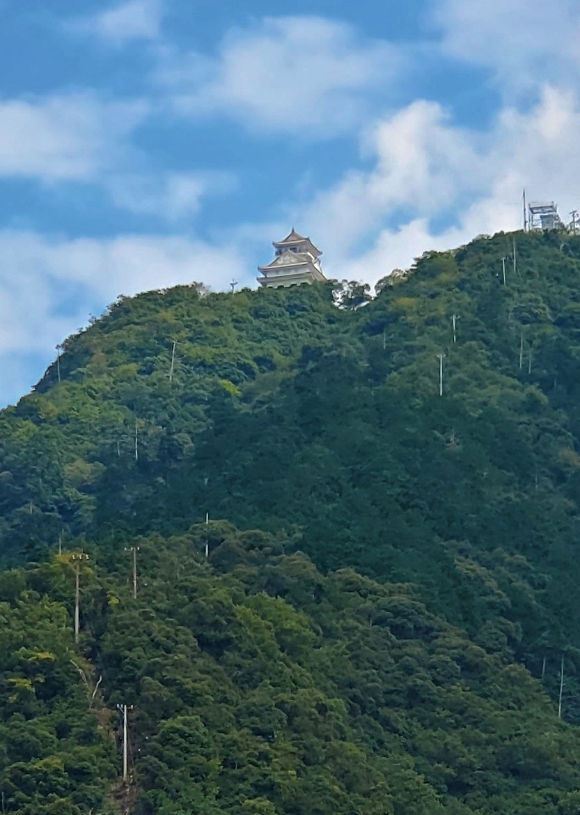 金華山の山頂に造られている、小さく見える岐阜城