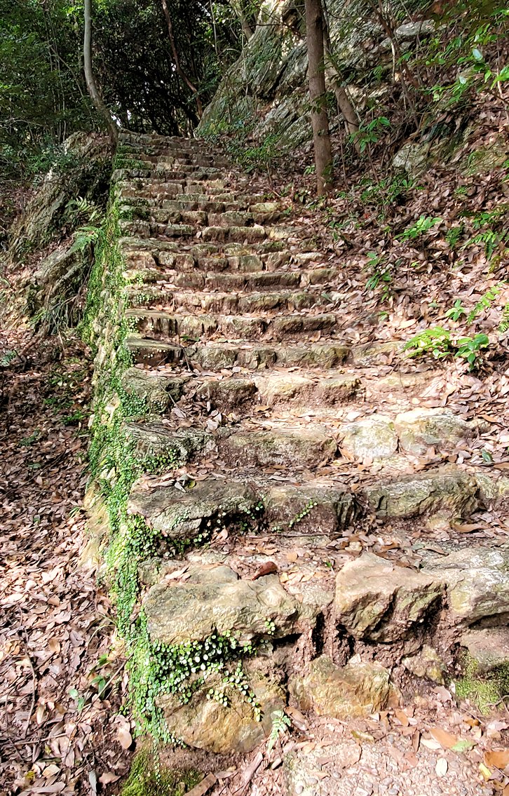 岐阜城　西側の登山道コースへと進む　階段部分