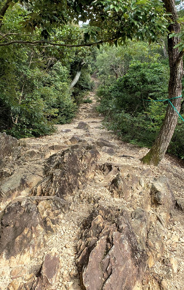 岐阜城　「馬の背登山道」　チャートの断崖部分３