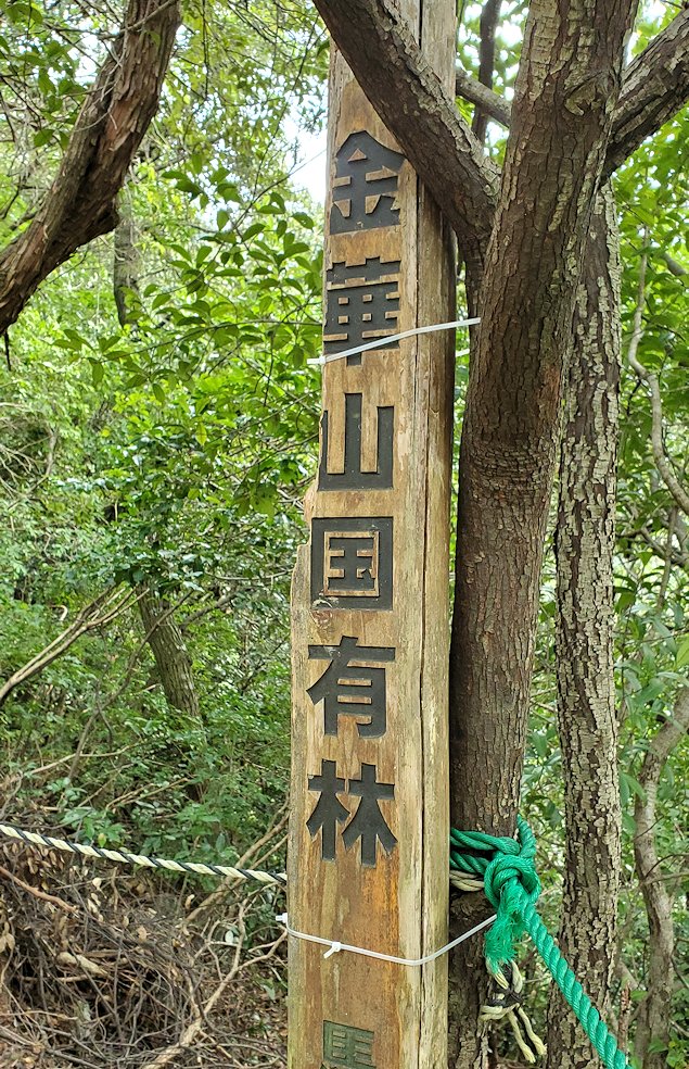 岐阜城　「馬の背登山道」　国有林の看板