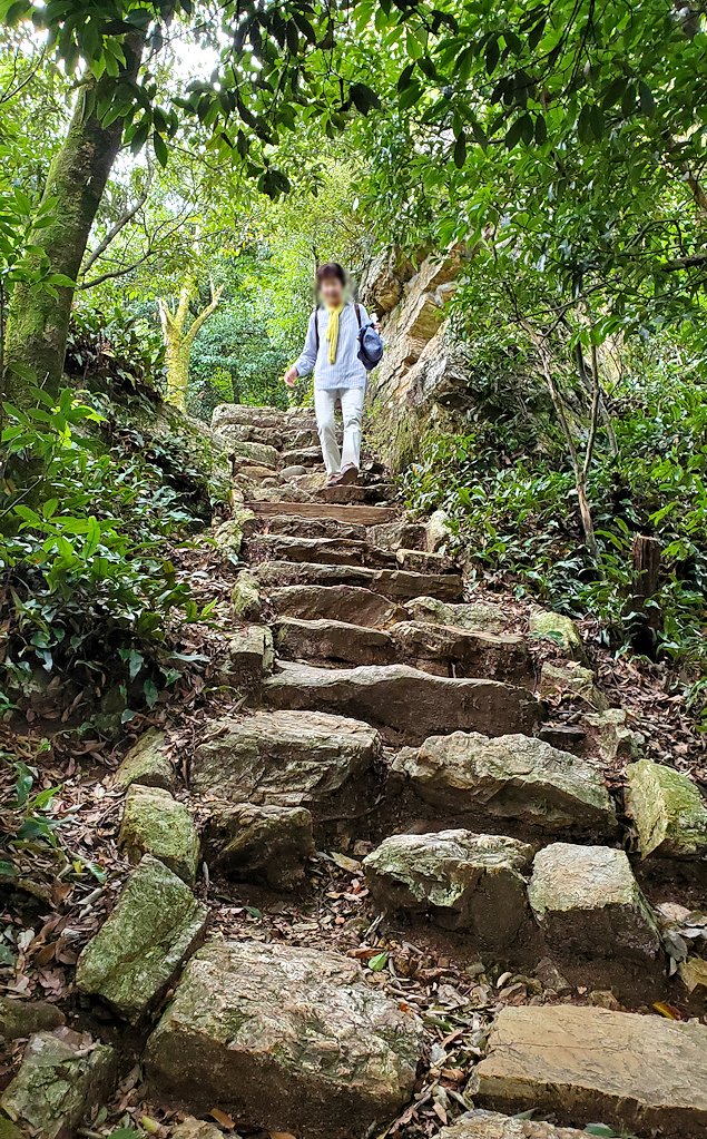 岐阜城　「瞑想の小径」を降りていく　石段