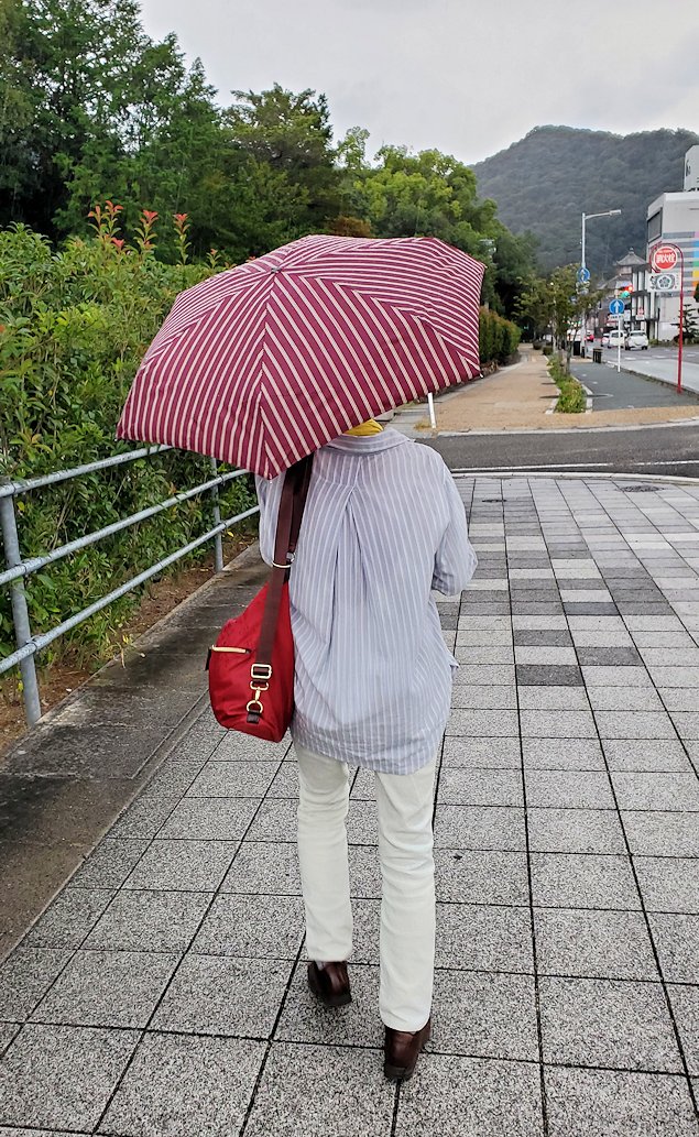 岐阜公園　前の道路脇歩道　雨が降ってきて傘を差す
