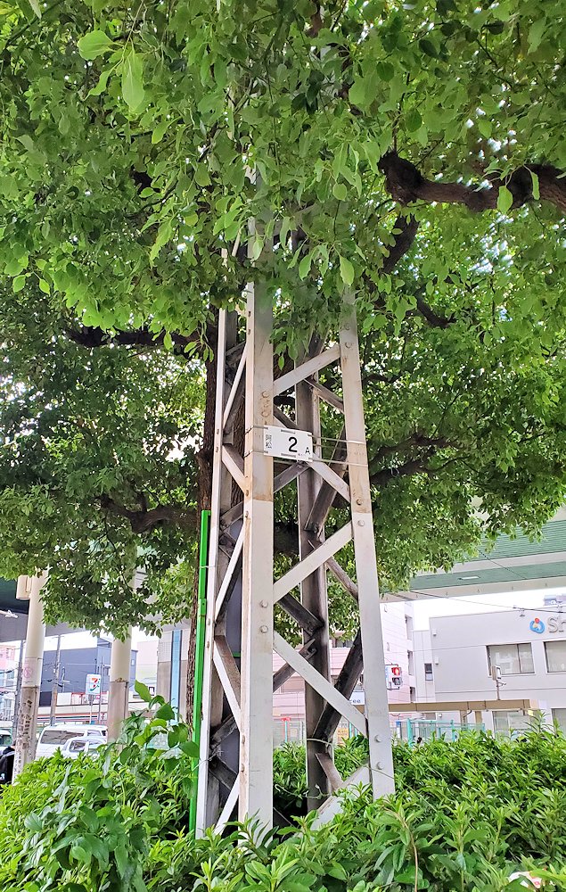 阿倍野区　阪神高速道路　阿倍野交差点の一角　緑に覆われた架線柱