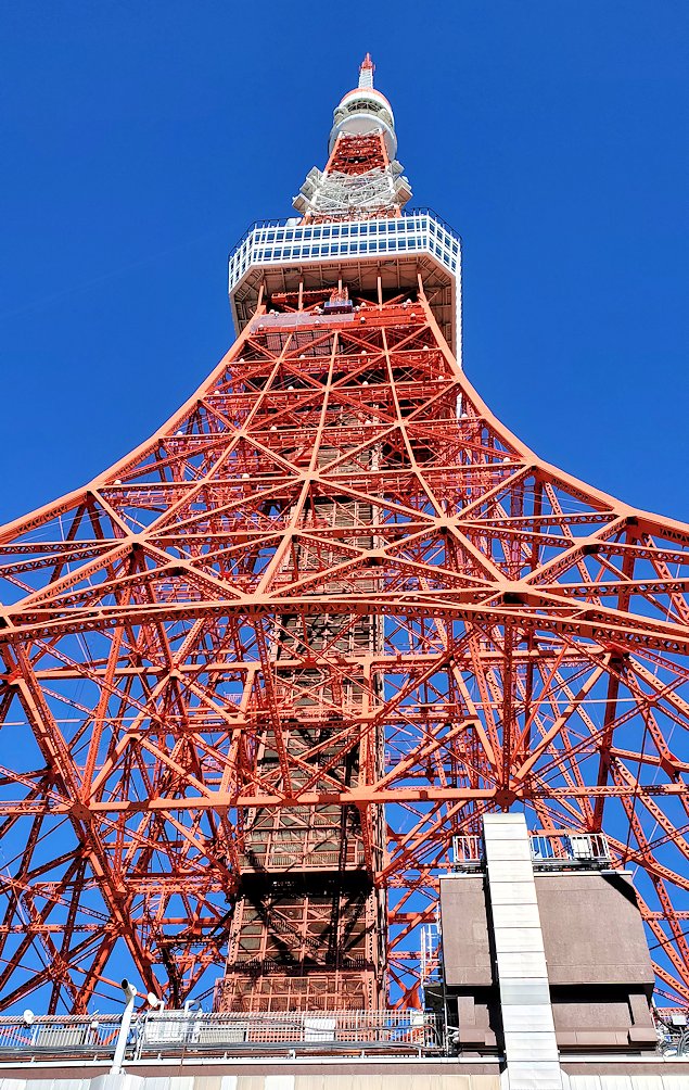 港区　東京タワー　見上げる