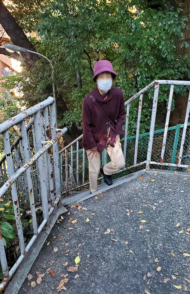 愛宕山の愛宕神社に繋がる階段を登る3