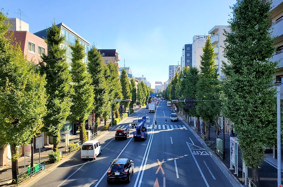 東京都杉並区阿佐谷南　歩道橋上から眺めた道路