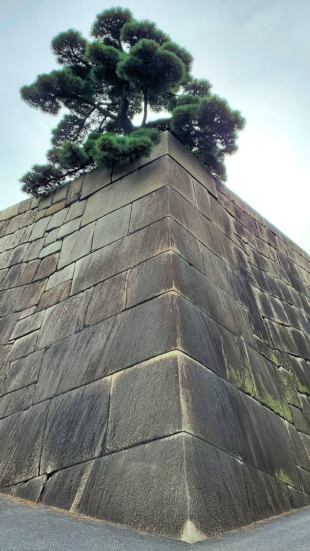 江戸城跡　天守台の石垣2
