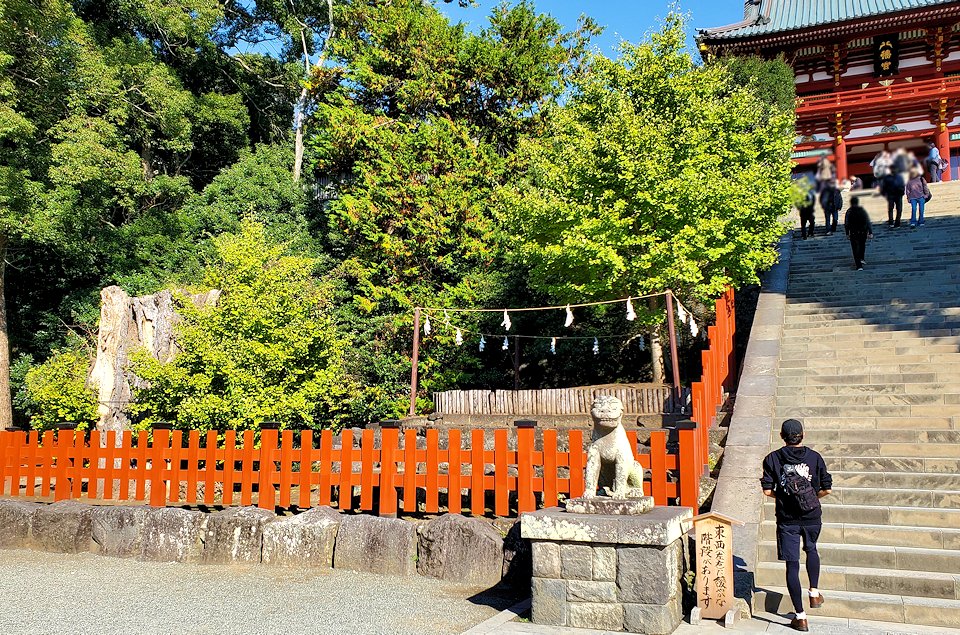 鶴岡八幡宮の参道　境内の階段脇の大銀杏跡