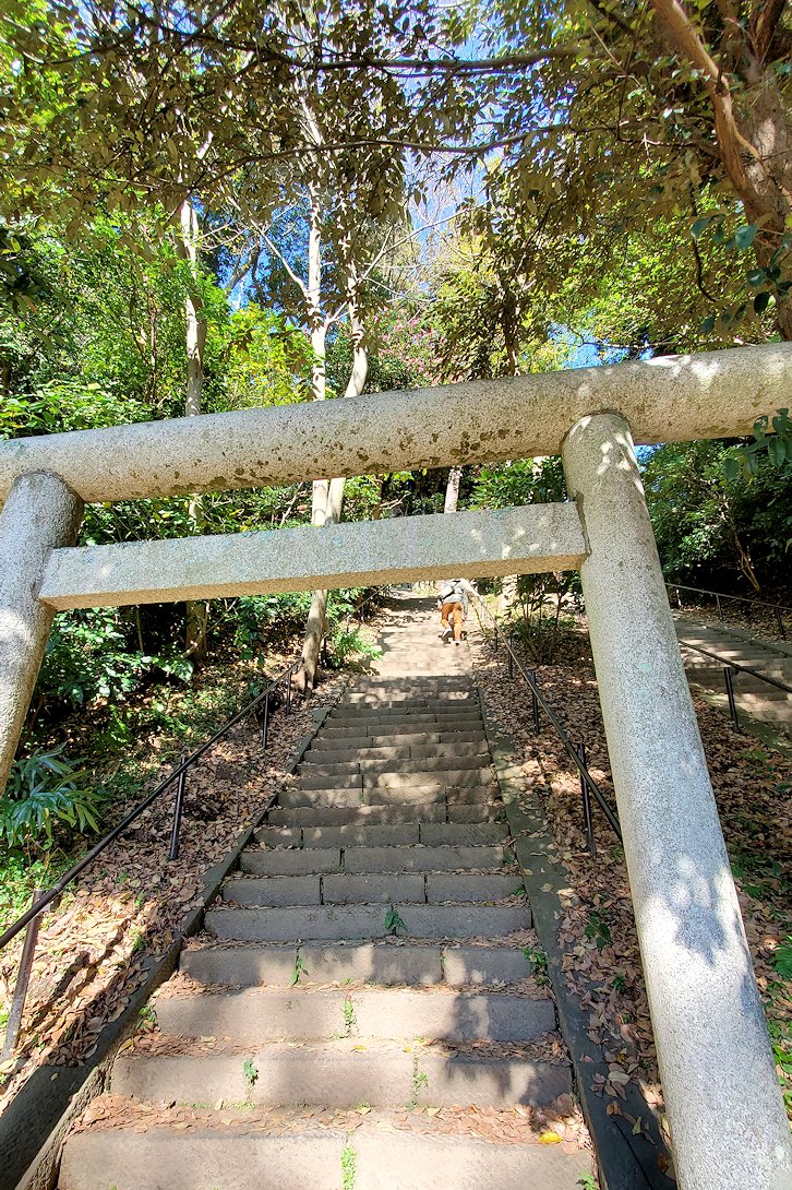 鎌倉　法華堂跡　鳥居と階段