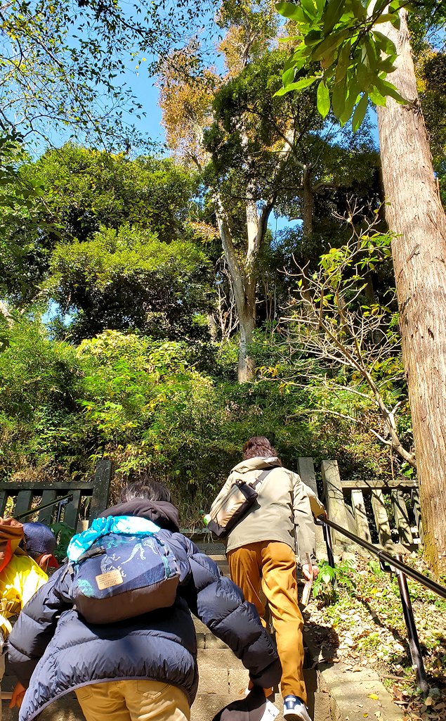 鎌倉　法華堂跡　鳥居と階段を登る