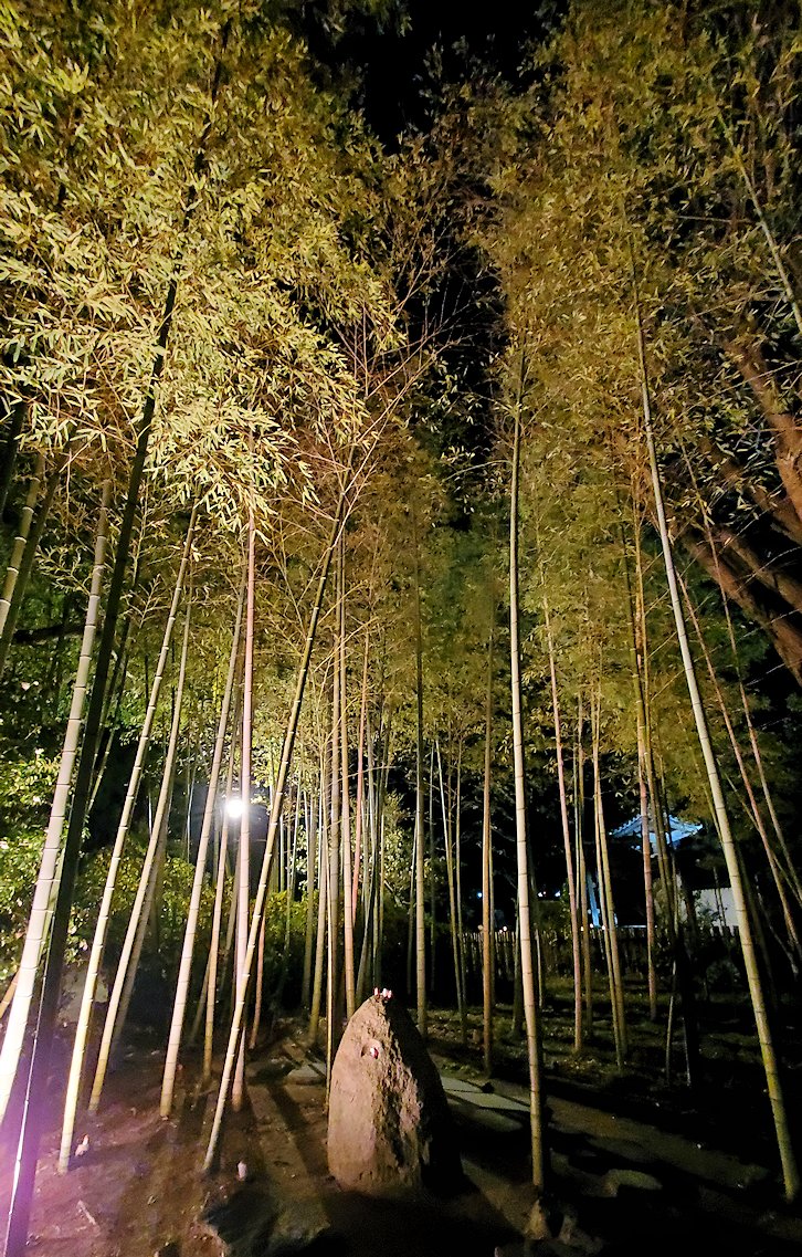 大晦日の夜　大安寺　境内　『美流孔塚』　竹林　ライトアップ