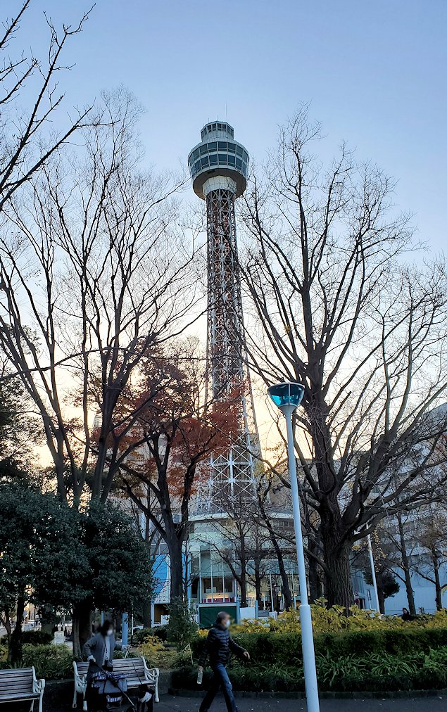 横浜市山手　山下公園　　景色　から眺めるマリンタワー