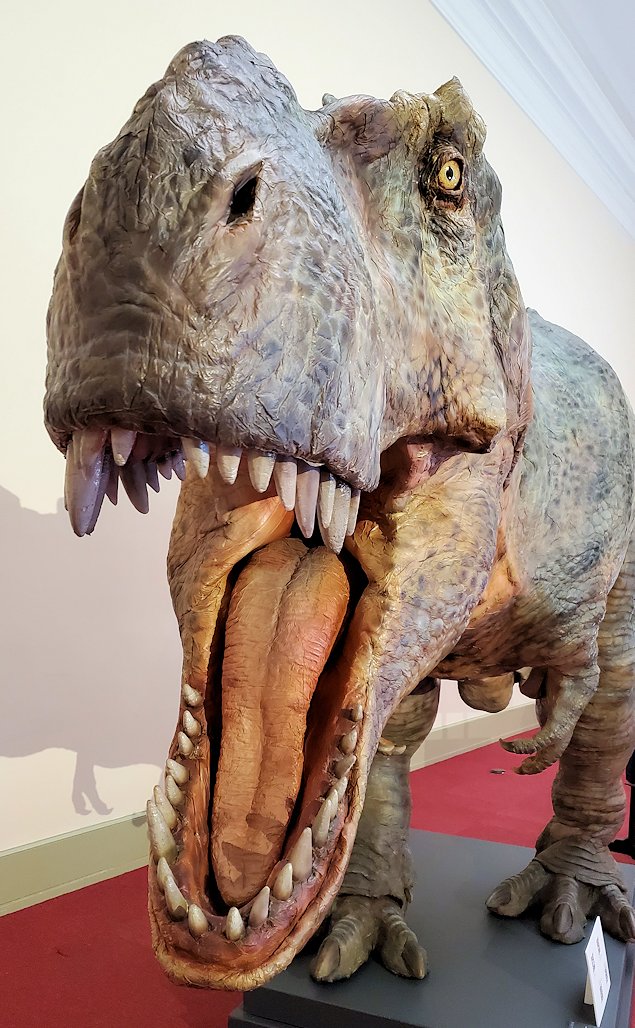 上野　国立博物館　表慶館　『150年後の国宝展』　恐竜