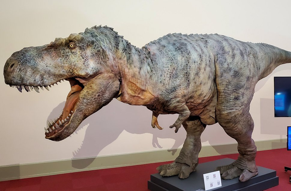 上野　国立博物館　表慶館　『150年後の国宝展』　恐竜3