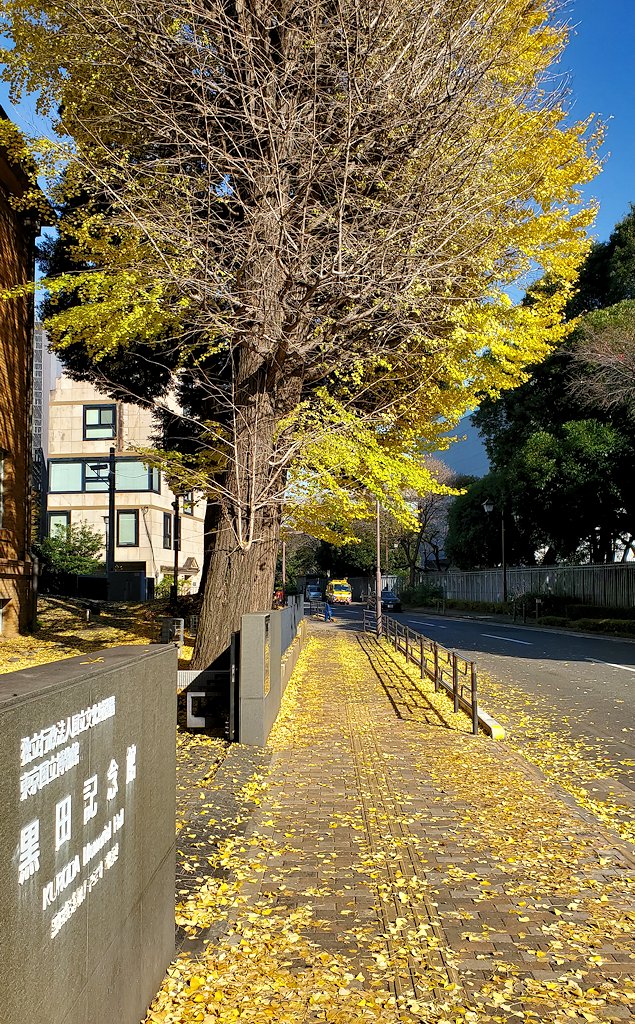 東京　上野　「黒田記念館」前の道