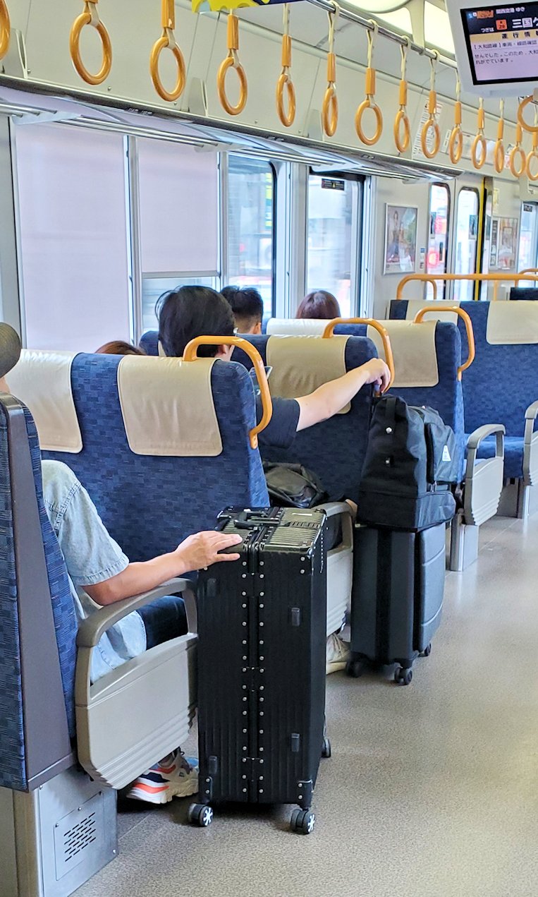電車内　スーツケースを持つ乗車客